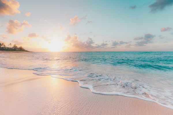 Saona Island Full-Day Tour with Lunch
